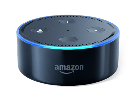 Alexa Skill Developer